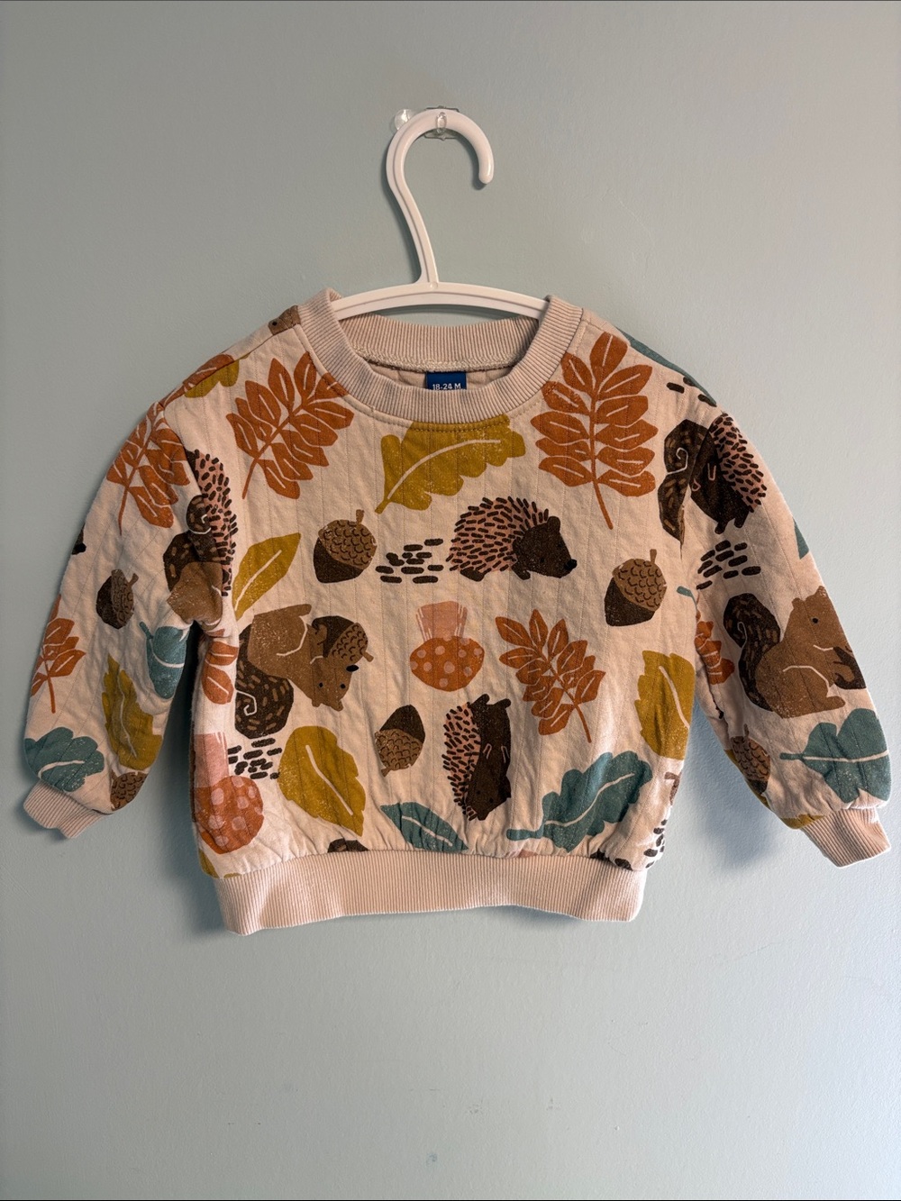Old Navy Pull Over Fall Sweatshirt, Baby Boy 18-24months